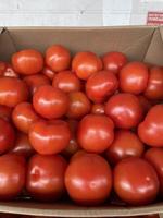 Томаты