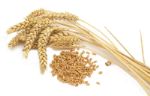 Гидролизат пшеничного белка