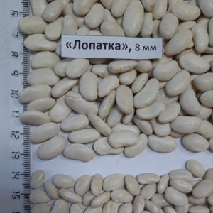 Фасоль белая Лопатка и Нирвана
