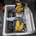 (Супер распродажа, обновляем остатки!) Замороженная мякоть дуриан фрукта Ri6