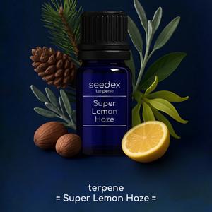 Терпеновый профиль сорта &#34;Super Lemon Haze&#34; / терпены

ЭФФЕКТ: энергия, фокус, бодрость.
АРОМАТ: цитрусовые нотки, лимон, сосна. 
ШТАММ: Sativa. (Hybrid).

Состав: Terpinolene, Ocimene, Limonene, Myrcene,  β-Caryophyllene, α-Pinene, β-Pinene, Humulene, γ-Terpinene, остальные терпены до 10%.

Данный продукт произведен в Италии. Уникальный терпеновый профиль «Super Lemon Haze». При создании этого продукта использовали  терпены сорта «Super Lemon Haze». Премиальное качество терпенов, великолепное антураж продукта, славится своими эффектами, повышающими концентрацию внимания. Аромат «Super Lemon Haze» — отмеченный наградами гибрид с преобладанием Sativa, с ярко выраженным цитрусовым, лимонным ароматом.

Терпеновый профиль Super Lemon Haze  может использоваться при производстве масел, напитков, пищевой продукции, косметики, защиты растений.  Все наши терпены получены на 100% из растительного сырья. Являются высококонцентрированным продуктом, не содержат растворителей, спиртов, восков, парафинов и иных побочных продуктов. Не использовать в чистом виде.