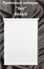 Рулонные шторы Эко 01 белый