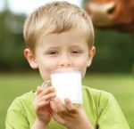 Эковакино — производство и реализация молочной продукции