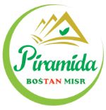 Bostan Misr For Export Egypt — свежезамороженные овощи и фрукты