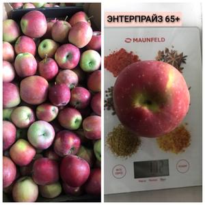 Яблоки Энтерпрайз 65+ (средний вес яблока 172гр)