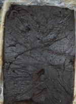 Pasteurized pit free Date Paste