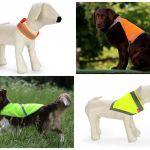Сигнальная одежда для собак