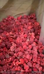 Малина замороженная