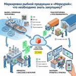 Маркировка рыбной продукции и "Меркурий": что необходимо знать закупщику?