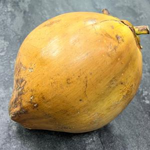 Королевский кокос