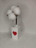 Аромасаше для помещений и авто