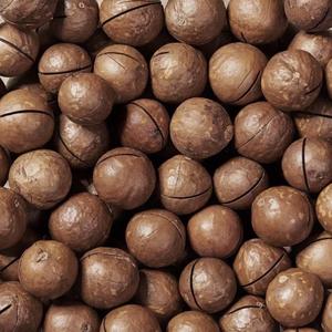 Для вас предлагаются свежие и натуральные орехи, отобранные у надежных производителей и поставляемые с высокой оборачиваемостью.