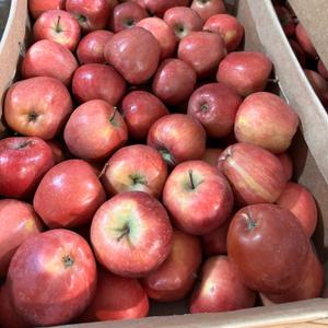 Яблоки Ред Чиф