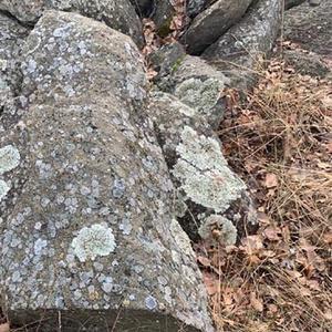 Габбро-диабаз