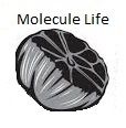 Molecule Life — черный ферментированный чеснок оптом