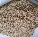 Крупа перловая