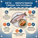 Кета — жемчужина среди лососевых