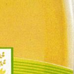 Энкиэнергетик