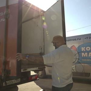 КотМатрос Дистрибьюция