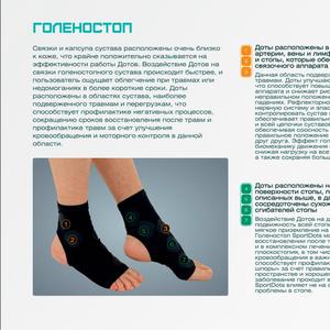 Голеностоп общий вид
