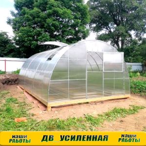 теплица ДВ Усиленная 4х6м
