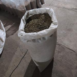 Втм гранулы