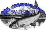 Северная рыба — рыба из рек Якутии