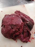 Оленина окорок