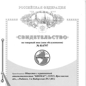 Товарный знак &#34;BIOMAGNETIC&#34;
