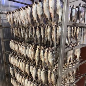 Вялим рыбу на нашем производстве.