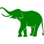 Зелёный слон — трендовые товары
