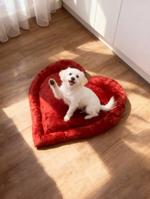 Лежанка для животных