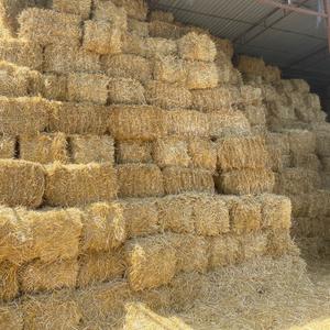 Солома в тюках