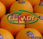 El Kady — свежие фрукты и овощи из Египта