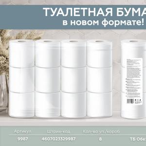 Туалетная бумага 2 слоя 12 рулонов &#34;Обезличенная&#34;