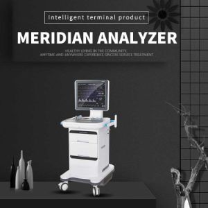 Meridian Analyzer ZQKJ-I