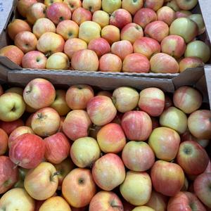 Яблоки Гала