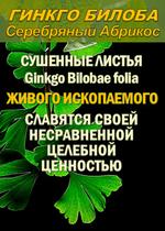 Функциональны чай Гинкго Билоба Ginkgo Bilobae folia ФЧ-3