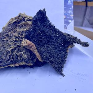 Рубец говяжий