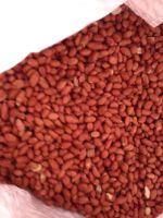 Агротрейд Рус — арахис, рис, фасоль