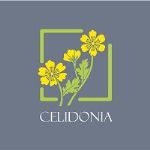 Celidonia — белье и одежда для женщин