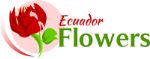 оптовые поставки цветов из Эквадора, Колумбии, Кении