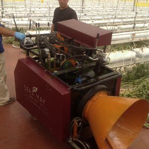 Твистер машина
После сбора урожая Twister Machine начинает работать после того, как корни помидоров удаляются и выбрасываются на землю. Тепличная машина Twister обматывает выброшенные корни помидоров веревкой, предотвращая их рассыпание и облегчая очистку. Корни этого растения, обмотанные веревкой, наматывают с помощью намоточной машины. Таким образом, предотвращается потеря времени. Это позволяет чистить вашу теплицу быстрее и проще.