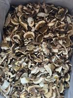 Белый гриб 3 сорт