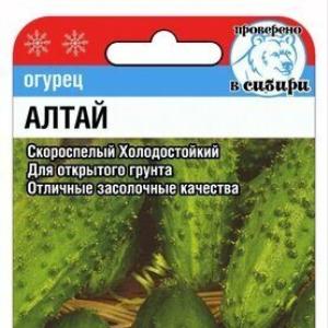 Алтай огурец