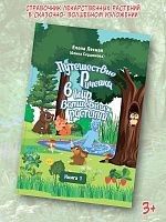 Путешествие Ручейка в мир Волшебных растений. Справочник лекарственных растений в сказочно-волшебном изложении. Книга 1