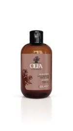Шампунь для волос с маслами баобаба и семян льна OLEA BAOBAB 250 мл Dott. Solari Cosmetics 193