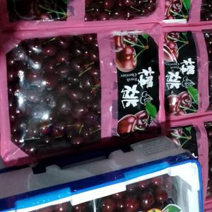 Черещня 2.5 кг.