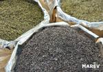 Чай оптом от производителя Marev