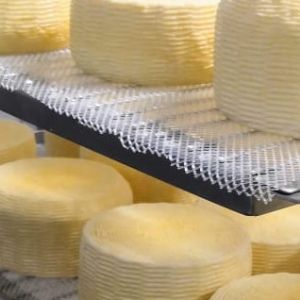 Безузелковая сетка для выкладки сыра. Толщина нити 1,26 мм и 1,4 мм.